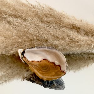 oesterschelp gold