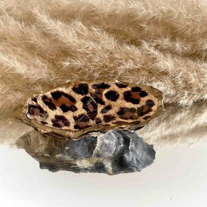 oesterschelp leopard