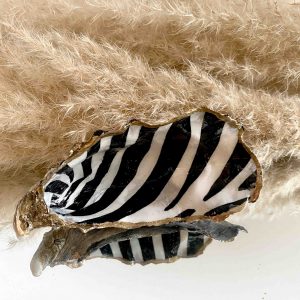 oesterschelp zebralook